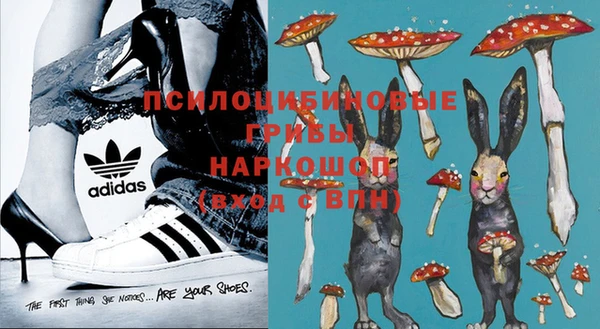 герыч Ладушкин